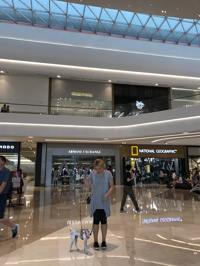 happyhazel: Korea's First Dog Friendly Mall - Starfield Hanam