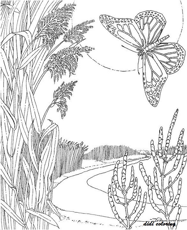 label butterfly coloring pages - photo #30
