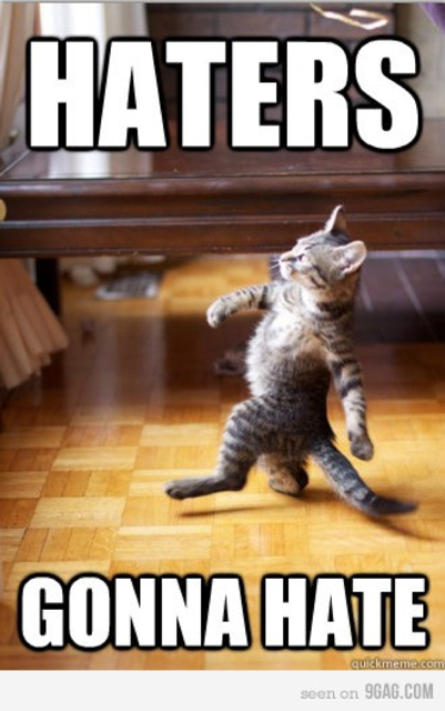 niniane s inspirational cat