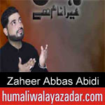 https://www.humaliwalyazadar.com/2018/09/zaheer-abbas-abidi-nohay-2019.html