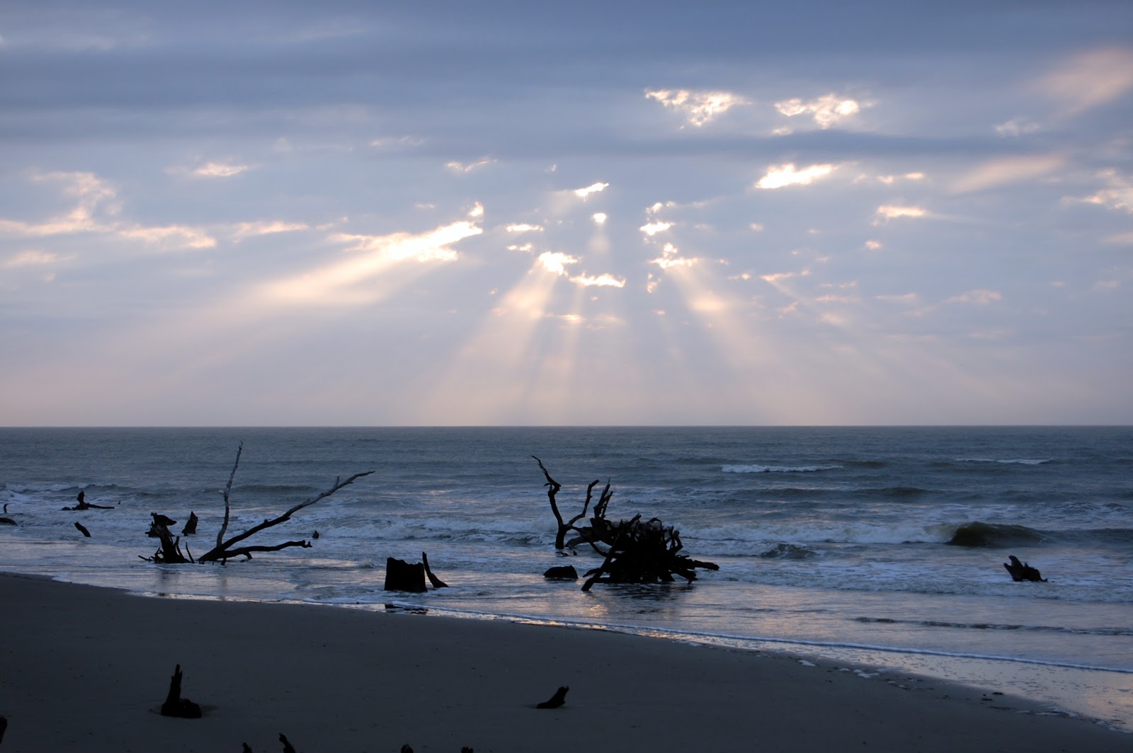 Charleston Charter Caper's Island by Kayak