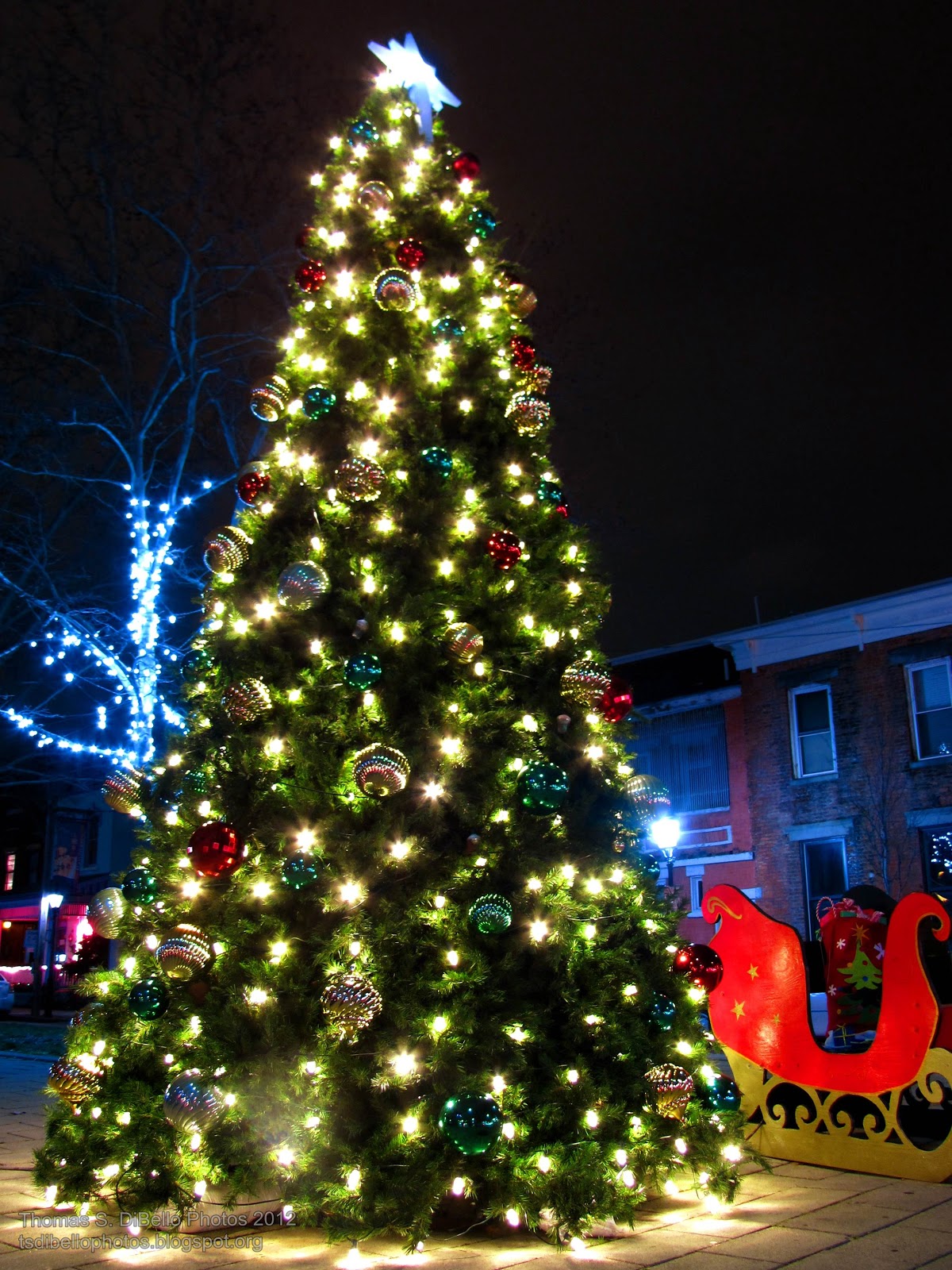 Portraits of Covington A Covington Christmas, 2012!