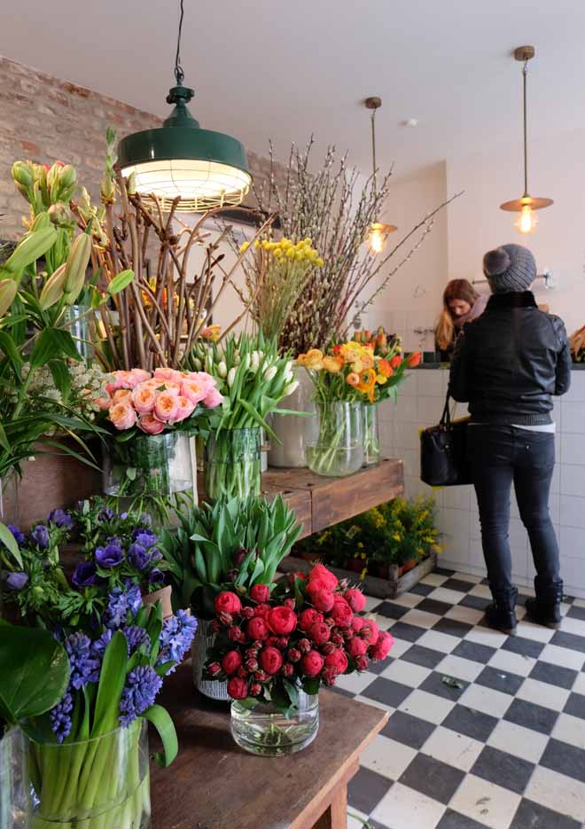 Goldregen in Köln / Ein neuer besonderer Blumenladen Floraldesign, Blumenladen, Goldregen, Belgisches Viertel, Köln, Eukalyptus, Trommelstock, Luftpflanzen, Öko, Nachhaltigkeit, Hochzeit, Verleih, Blumen, Pflanzen, Fair Trade, Lieblingsladen