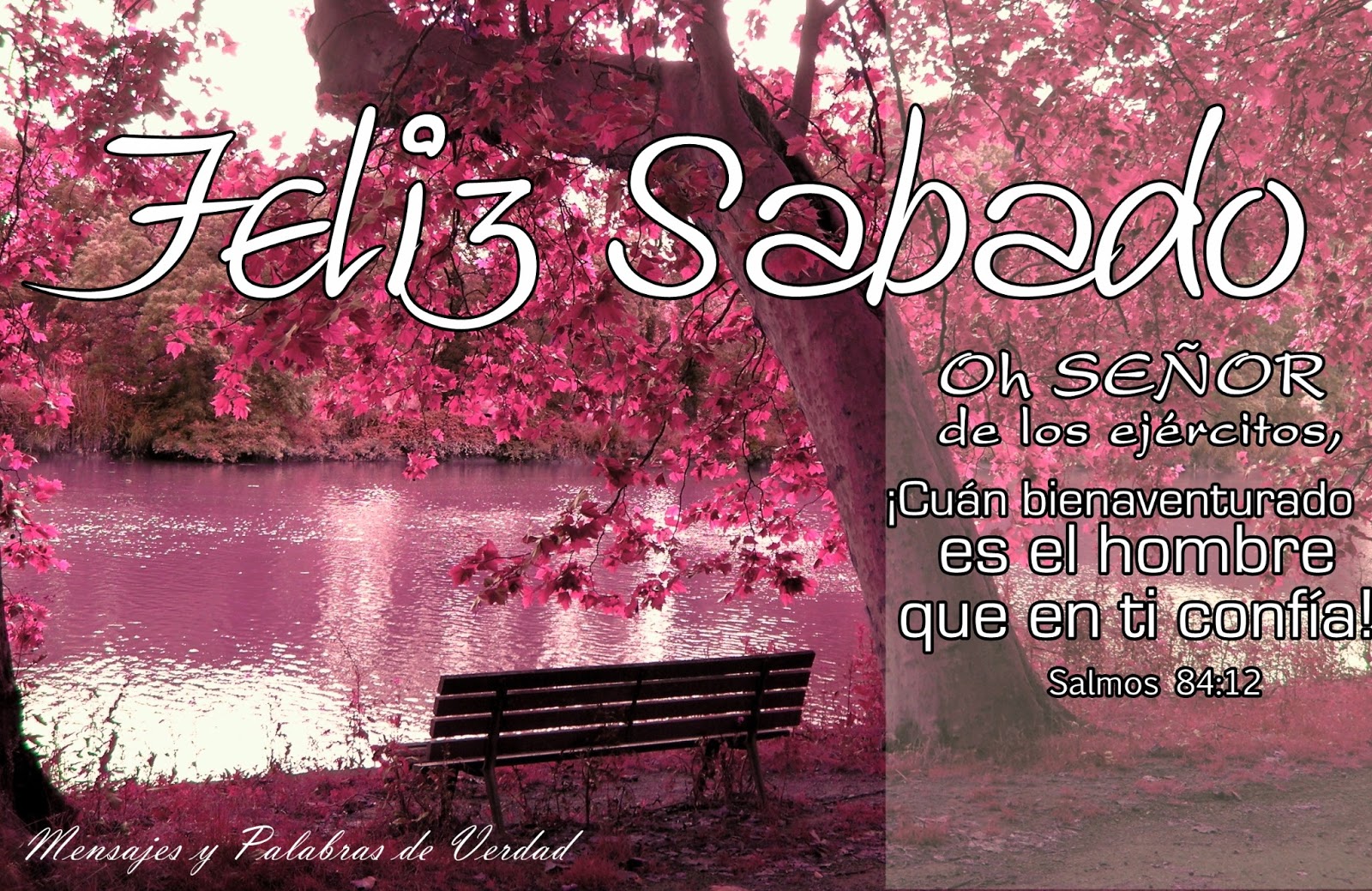 🌷🌻🌸💐🌹 SONRÍE porque HOY es SÁBADO. Y no permitas que nada ni nadie