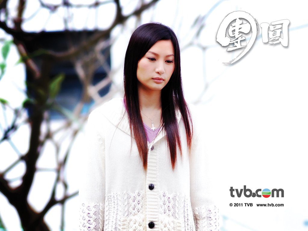 Just TVB Artist Wax and Wane 團圓 Posters