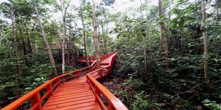 6 Tempat Wisata Menarik di Bangka Tengah Untuk Liburan Hutan Pelawan hutan pelawan di bangka hutan pelawan namang bangka tengah hutan pelawan pangkalpinang