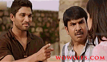 allu-arjun-shruti-hassan-race-gurraM+(4)