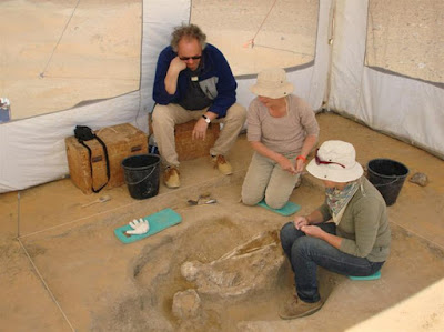 6,500 year old burial discovered in Egypt 6,500 year old burial discovered in Egypt