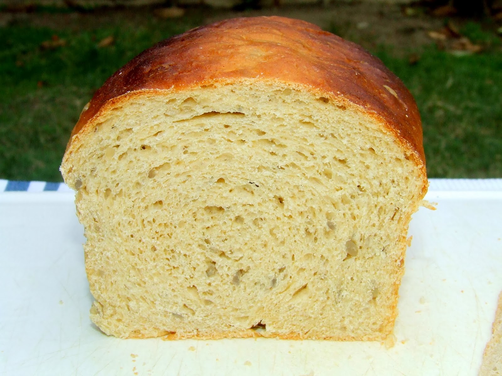 Whole Wheat Sunflower Seed Bread Ambrosia