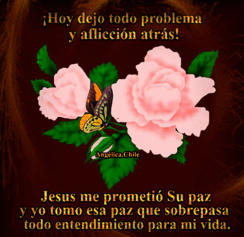 Image result for FRASES angelica de chile