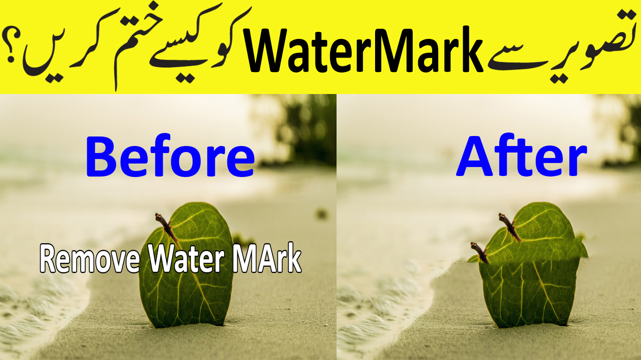 Watermark Software - Watermarking Photos in Watermark Software - Watermarking Photos in