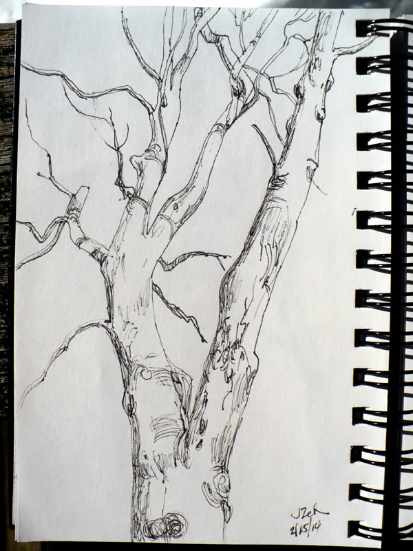 Tree in winter pen and ink sketch