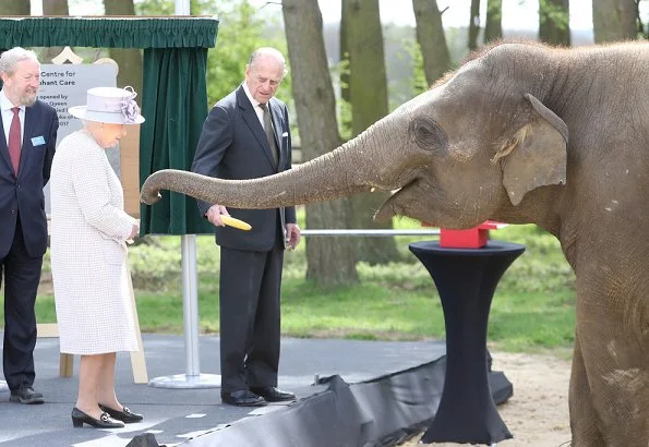 Queen Elizabeth and Prince Philip met the Head Elephant Keeper and view the elephant team carrying out daily care tasks such as nail filing and mouth care