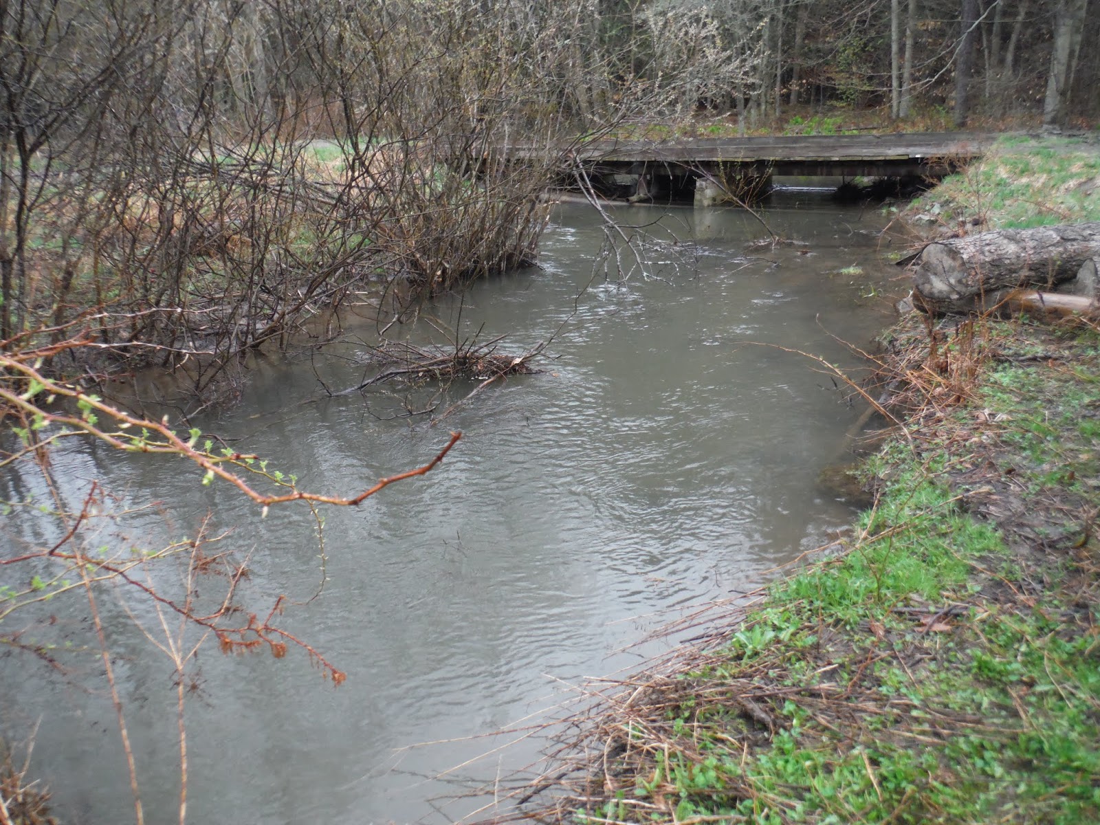 Mikey D Fishing Potter County Fishing Report "Trout Whisperer" Magic