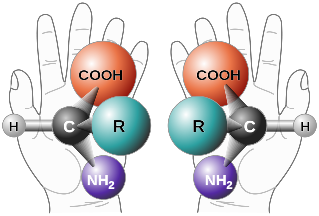 A representation of left and right handed chiral molecules