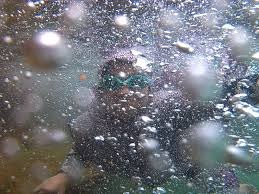 100 Gambar Air Soda Di Venezuela Paling Keren 100 Gambar Air Soda Di Venezuela Paling Keren