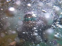 73+ Gambar Air Soda Tarutung Kekinian 73+ Gambar Air Soda Tarutung Kekinian