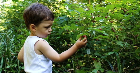 MAY ALL SEASONS BE SWEET TO THEE: Playing and Learning in Nature