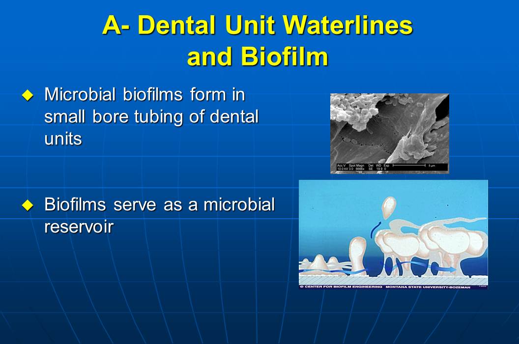 Dentistry Infection control guidelines