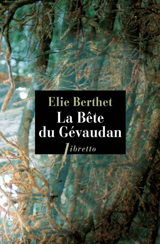 Le voile du sortilège (Nocturne) (French Edition)