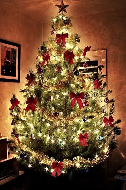 Christmas Spirit & Christmas Trees | Anda Zelenca | Blog