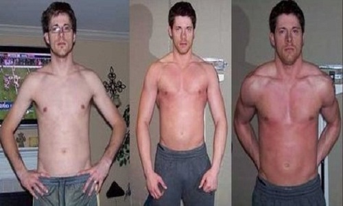 Cara Ampuh Menggemukkan Badan Cara Ampuh Menggemukkan Badan