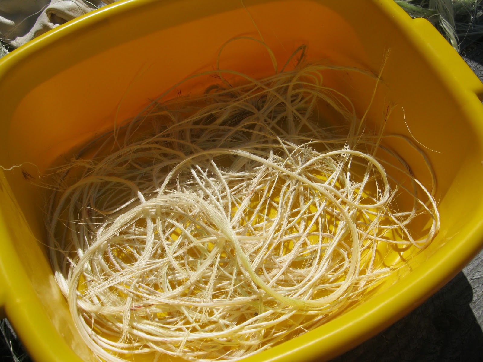 lynwaho: Rope making with harakeke fibre