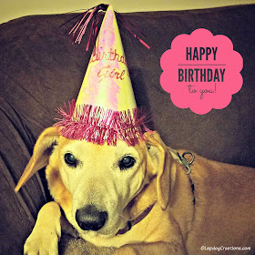 birthday dog senior rescue adopt hound golden lab
