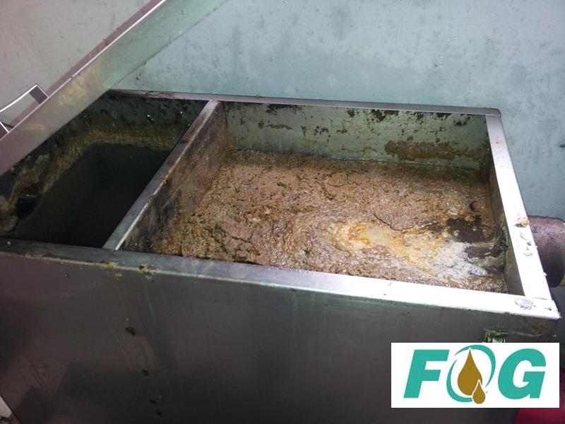 Fog Biotech Sdn Bhd Adakah Anda Sedia Melihat Gambar Perangkap Minyak Berfungsi Inilah Dia