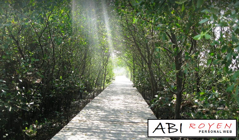 Tempat Nongkrong Asyik di Surabaya Hutan Mangrove Wonorejo Tempat%2BNongkrong%2BAsyik%2Bdi%2BSurabaya%2BHutan%2BMangrove%2BWonorejo Ketahuilah Kawan !!! Tempat Nongkrong Asyik di Surabaya