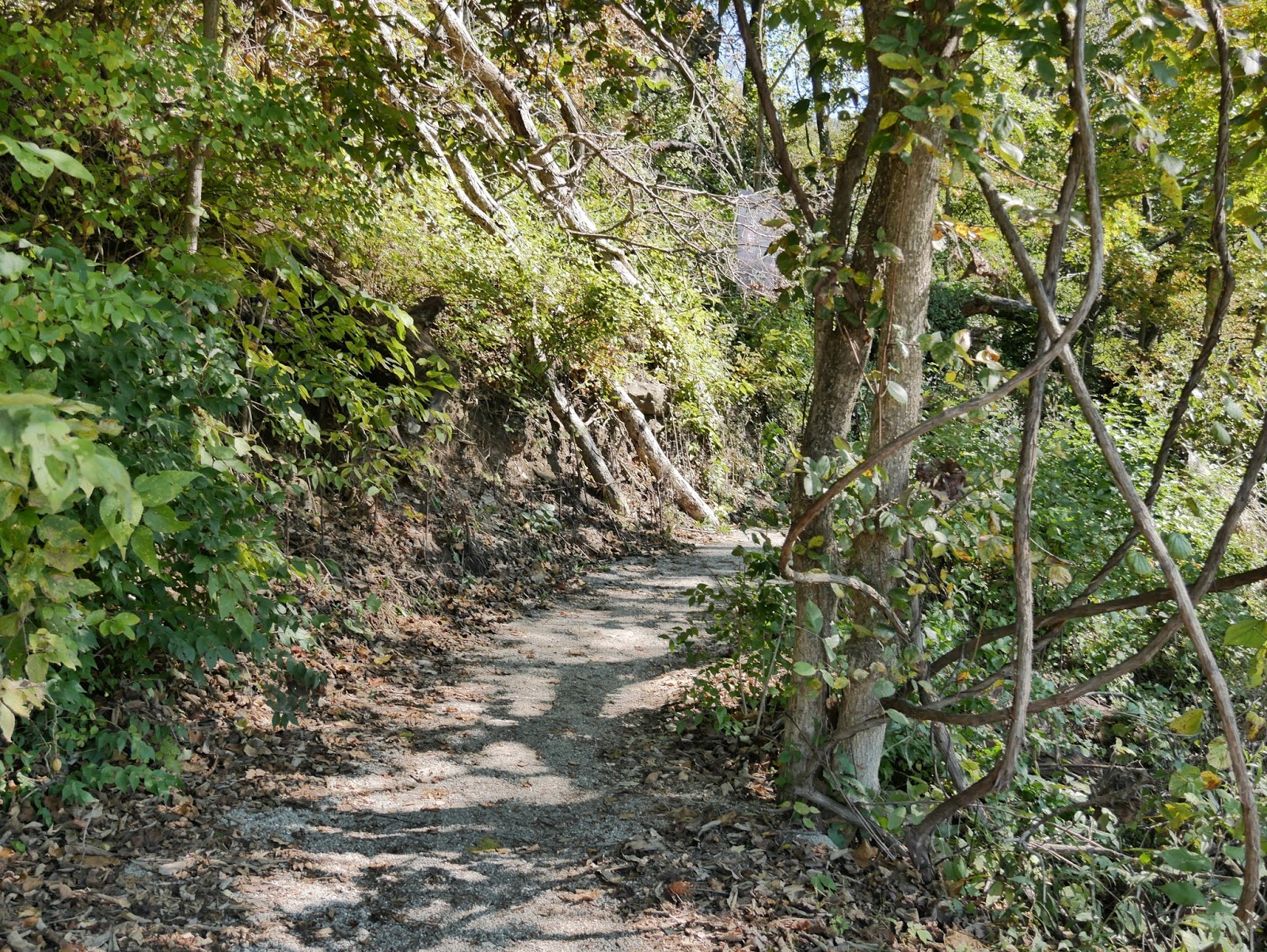 American Travel Journal Rocheport to McBaine Katy Trail State Park