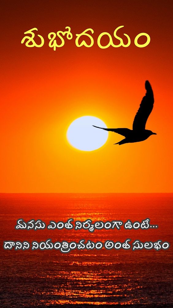 310+ Good Morning Telugu Images with Quotes (2020) Wishes, SMS, Status