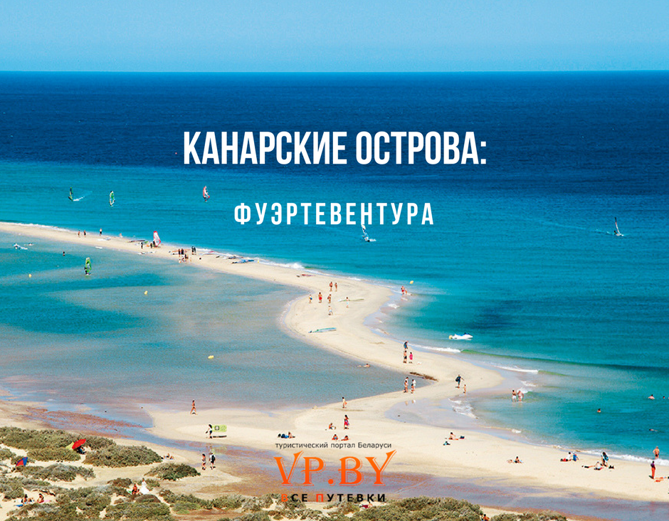 Канары цветы Фуэртевентура