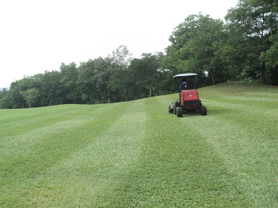 Tukang taman Surabaya Jual Rumput Jepang Zoysia