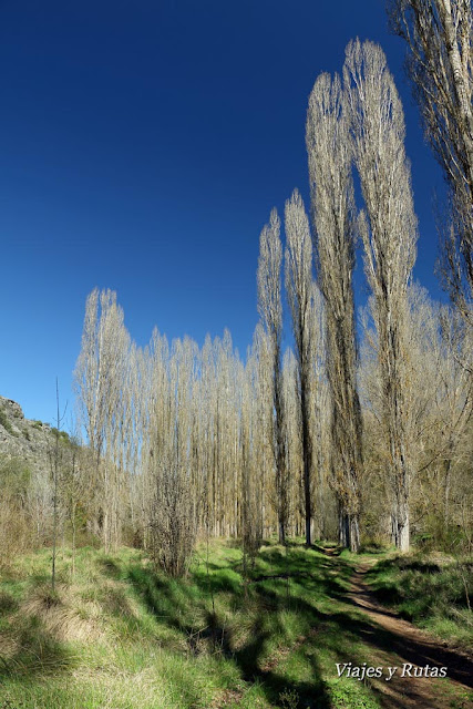 Senda de la Molinilla y Cueva de los 7 altares, Hoces del Duratón