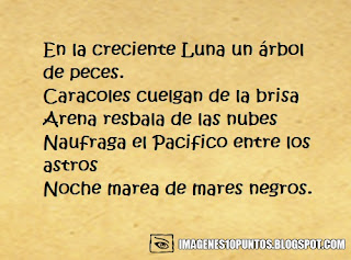 poemas de la naturaleza poemas de la naturaleza