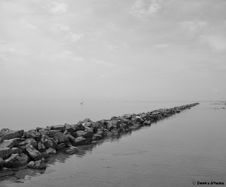 A line of piled rocks extends far into the Toronto waters, appearing to go on forever.