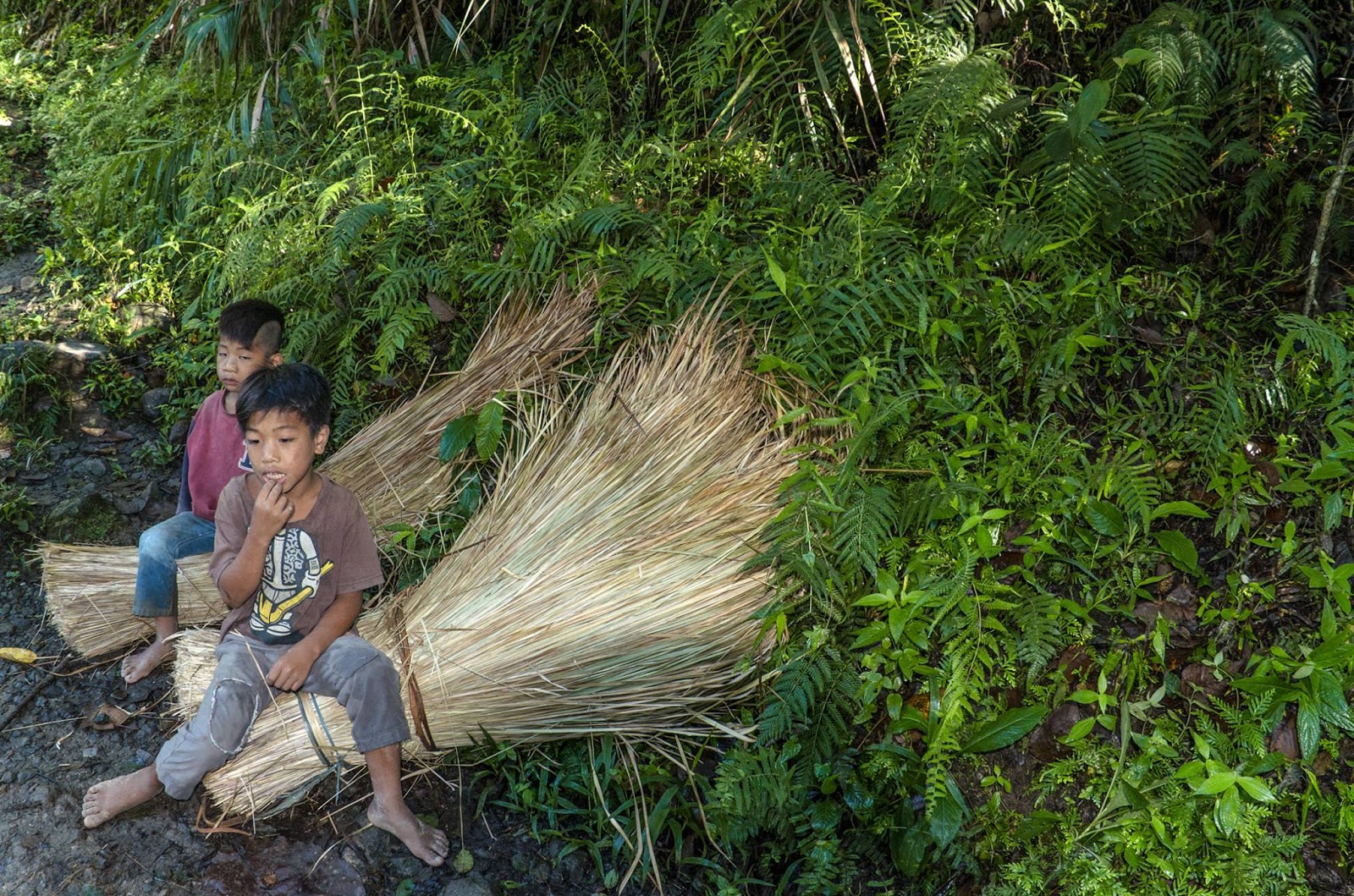 8th Wonder of the World Batad Rice Terraces Ifugao Cordillera Administrative Region Philippines Two Batad Kids Resting Over Rice Straws 