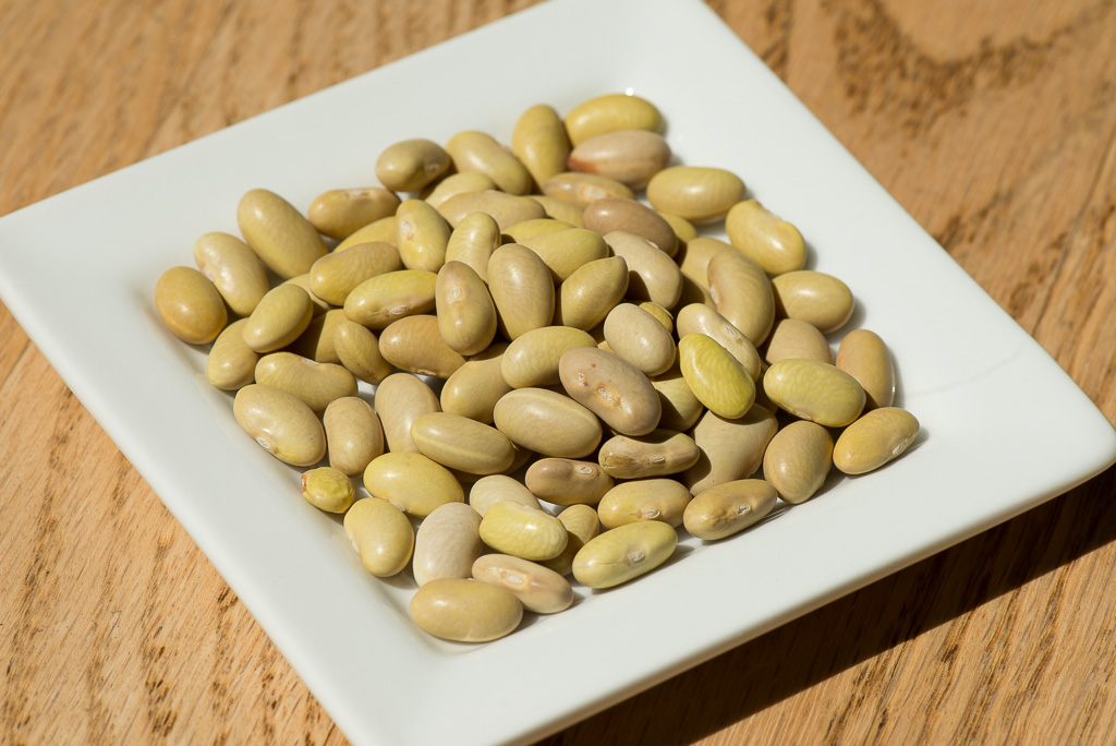 It All Begins With Dirt Mayocoba Beans