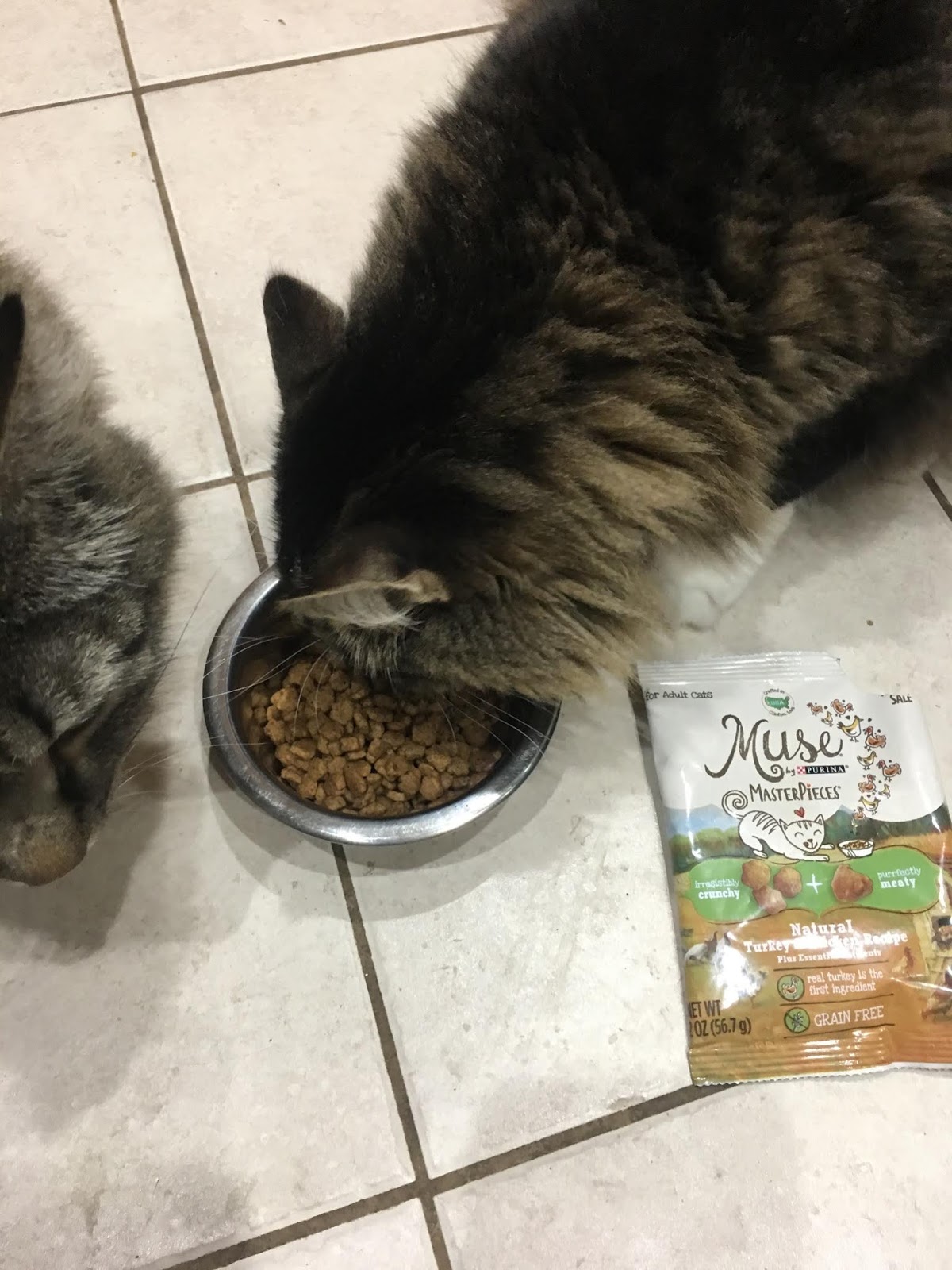 Snip Samp Save Purina Muse MasterPieces Dry Cat Food Free Sample Review