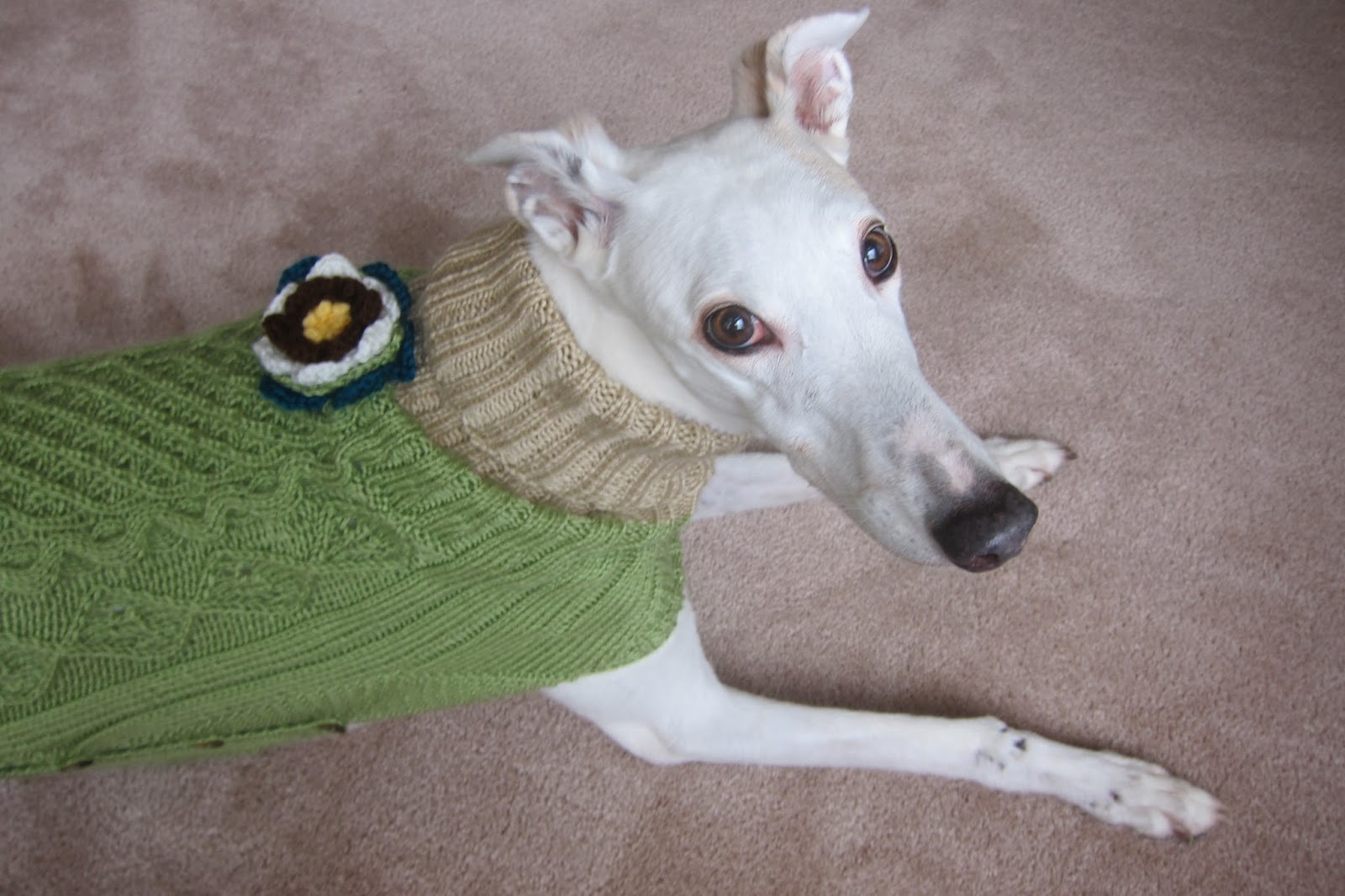 Greyhound Knit Sweaters Pistachio sweater for a girl dog