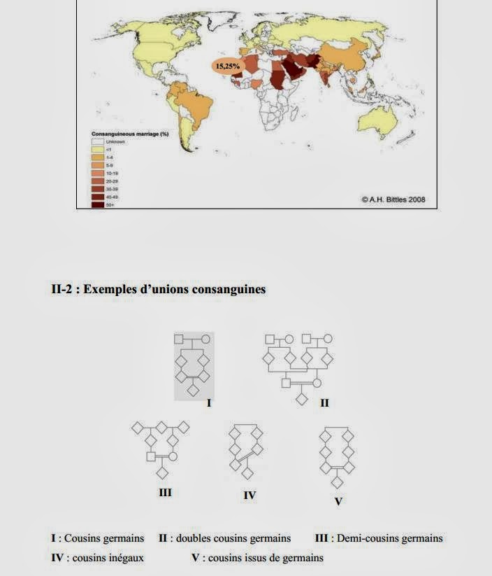 LA CONSANGUINITE Cours Medecine