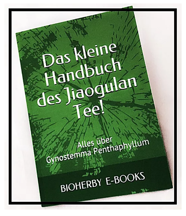 Jiaogulan Tee, ERKLÄRT Zubereitung Ziehzeit Wirkung Erfahrung.