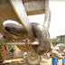 Hallan anaconda gigante de 10 metros y 400 kilos