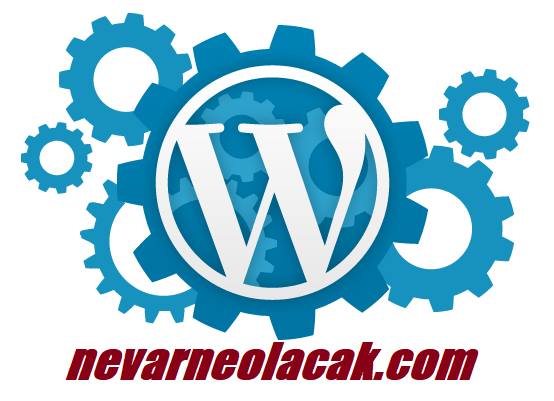 Wordpress İçin En İyi Oylama Eklentileri