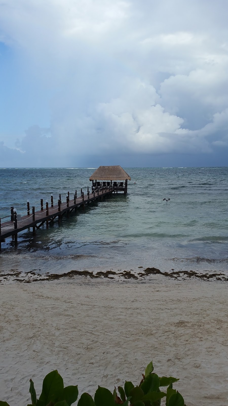 womens flat leather mules