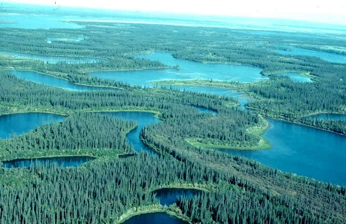 Lake ecosystem