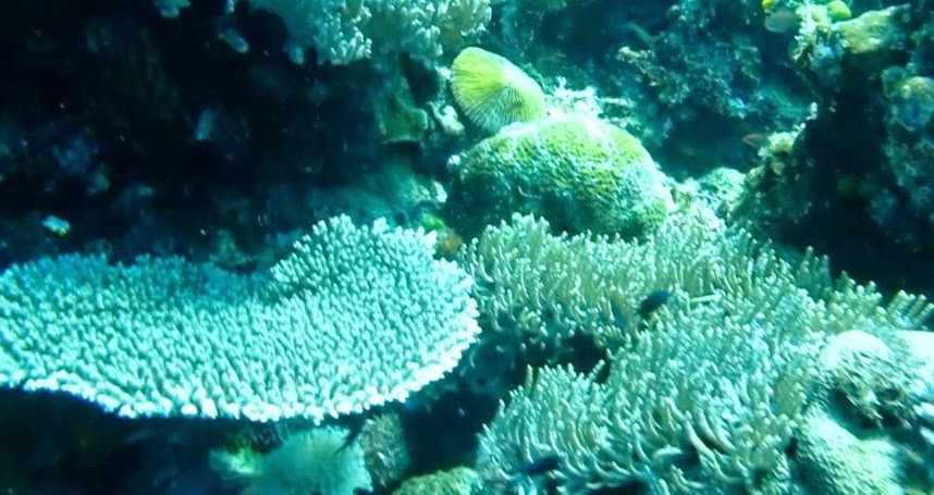 Pesona Wisata Kota Bima: Pantai So'Ati