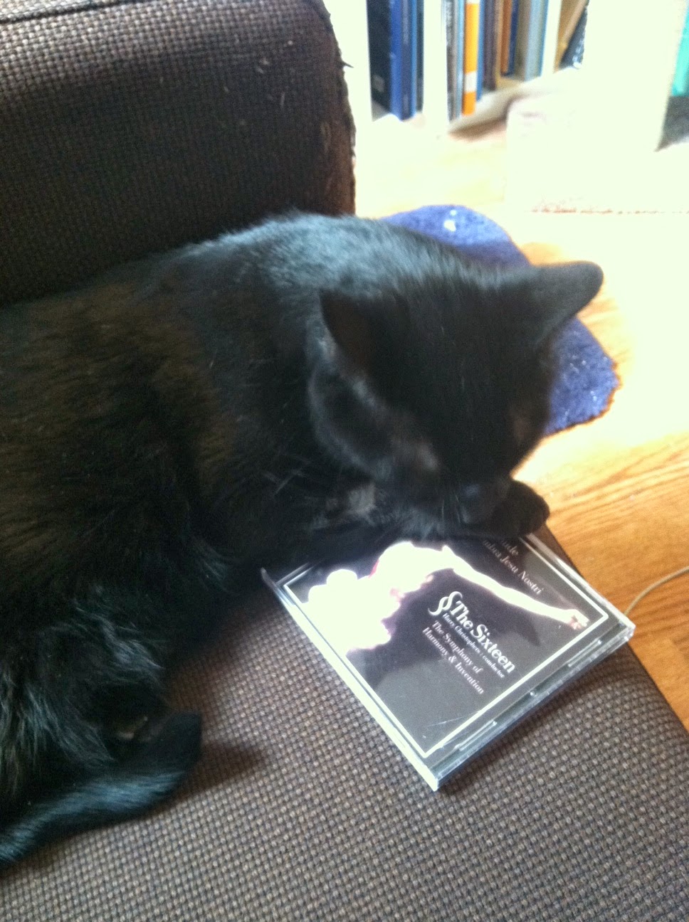 Samson sitting on a CD of Buxtehude
