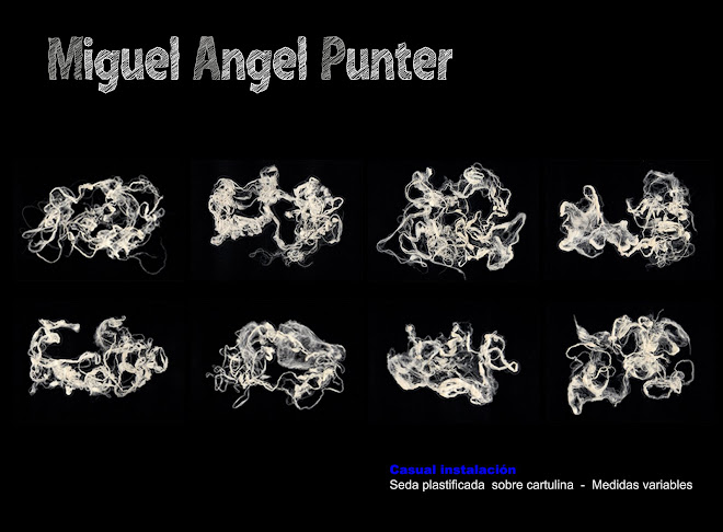 MIGUEL ANGEL PUNTER